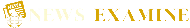 News Examine