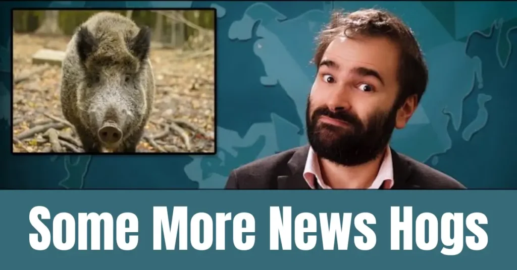some more news hogs
